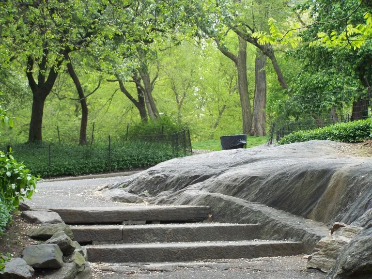 Groen bospad met natuurstenen trappen